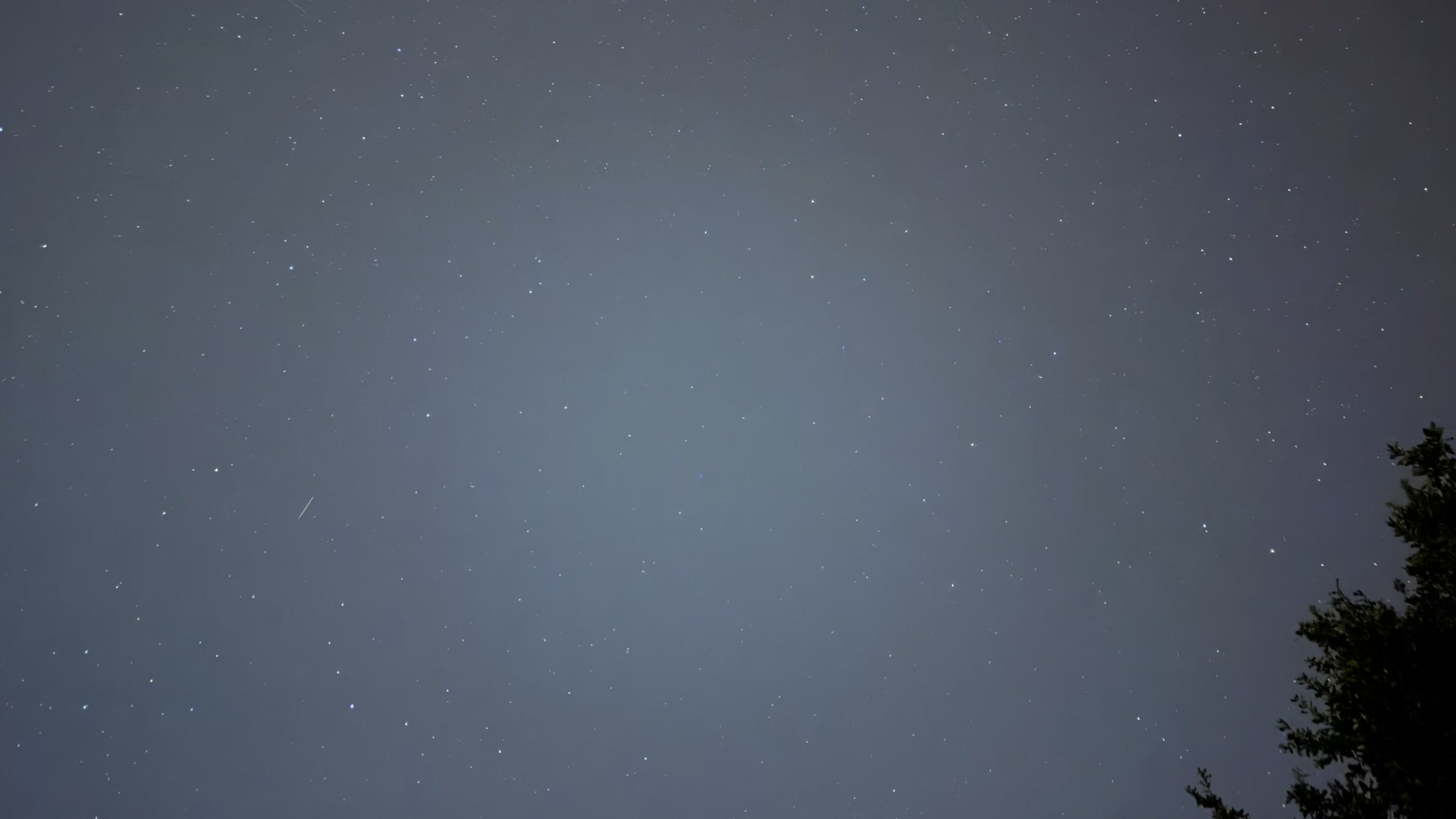 Un ciel de nuit gris-bleu, la silhouette d'un arbre à droite.