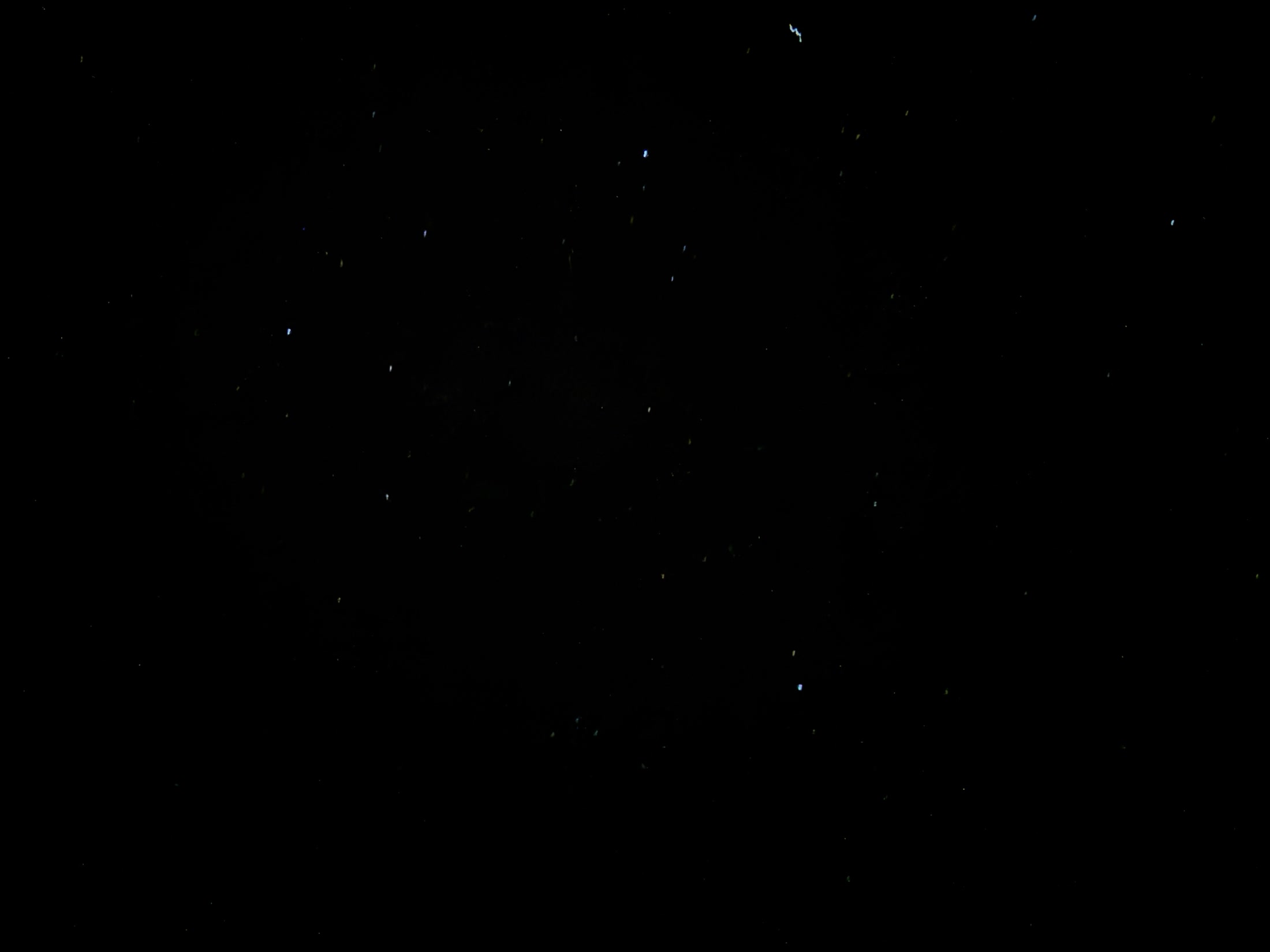 Un ciel noir, de fines traces d'étoiles.