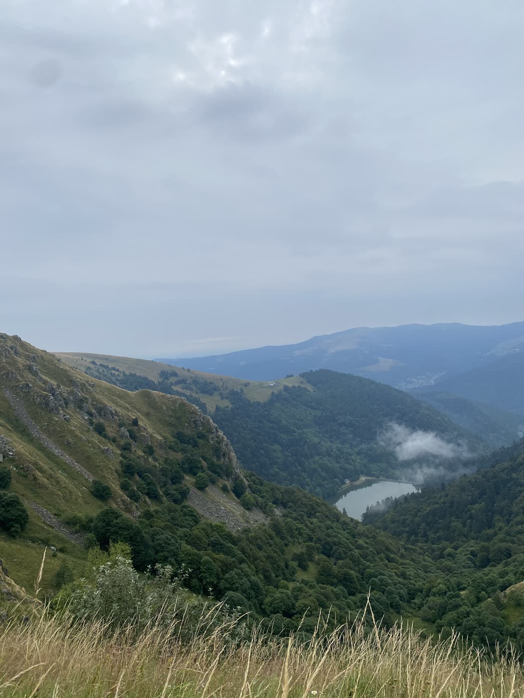 Une vallée encaissée, une rivière et des nappes de brume.