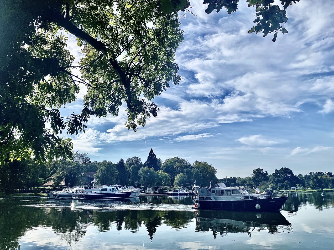 Un plan d'eau encadré de branches, des bateaux au loin.